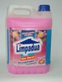 Desinfetante Perfumado 5Lt Floral